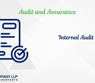 Internal Audit For Companies Under Companies Act, 13 (Alias_ internal-audit-for-companies-under-companies-act-13)Category_ Blog