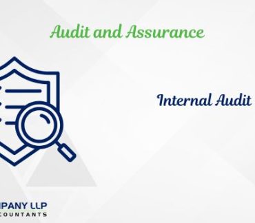What Makes A Sucessful Internal Auditor In 21St Century (Alias_ what-makes-a-sucessful-internal-auditor-in-21st-century)Category_ Blog