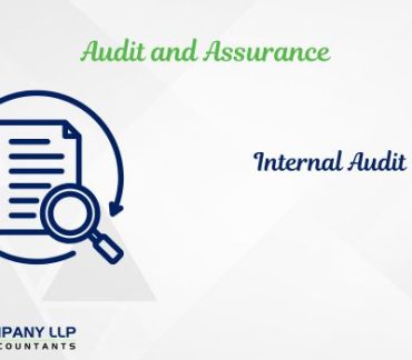 Significance Of Internal Audit (Alias_ significance-of-internal-audit)Category_ Blog