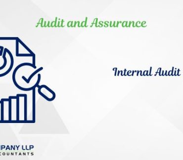 Importance Of Internal Audit For Investors (Alias_ importance-of-internal-audit-for-investors)Category_ Blog