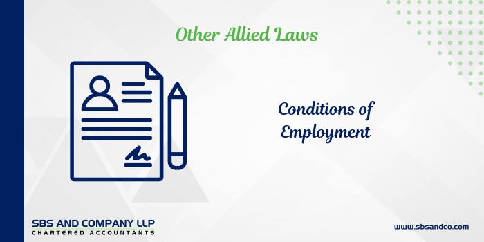 Conditions Of Employment - Probation (Alias_ conditions-of-employment-probation)Category_ Blog